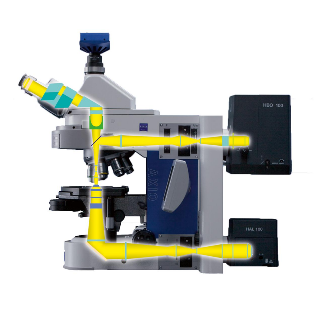 ZEISS™ – Microscope Axio Imager 2