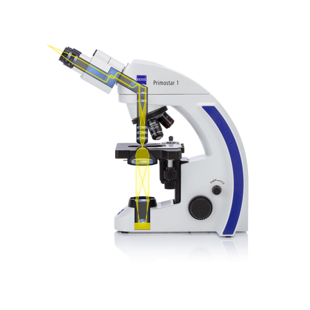 MICROSCOPE ZEISS PRIMOSTAR AVEC 4 OBJECTIFS 4X 10X 40 ET 100