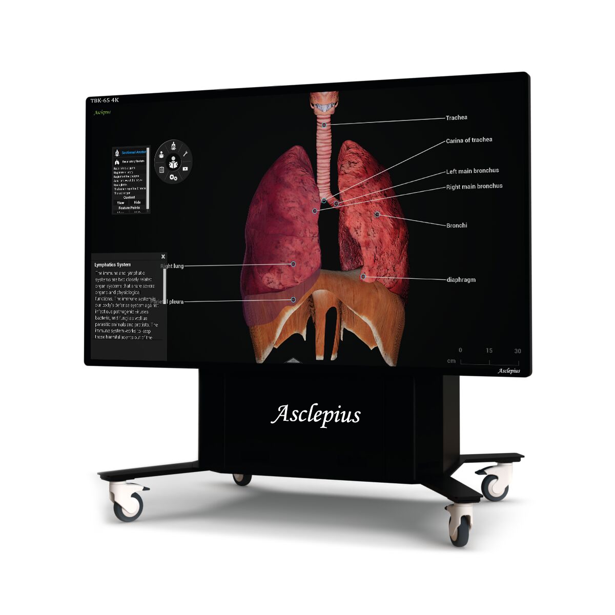 Asclepius TBK 65 4K Table de dissection virtuelle
