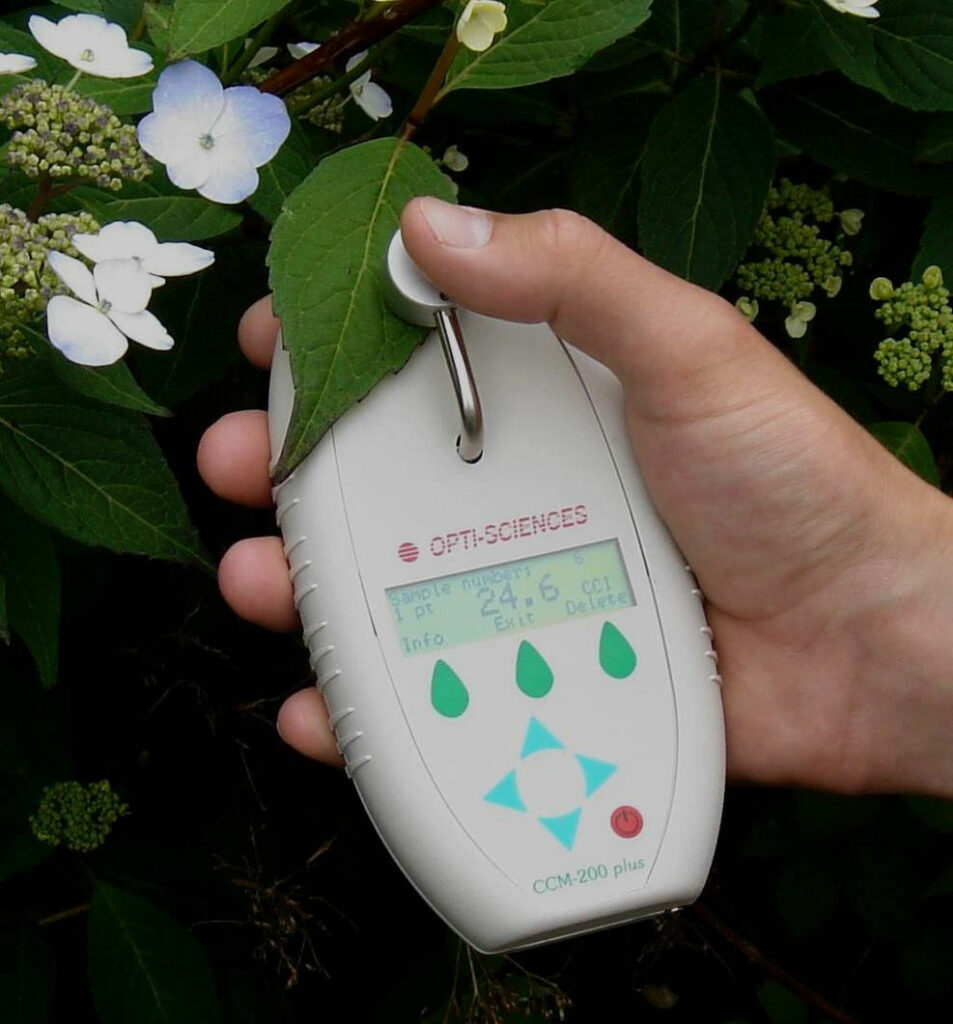 Compteur de teneur en chlorophylle CCM-200+