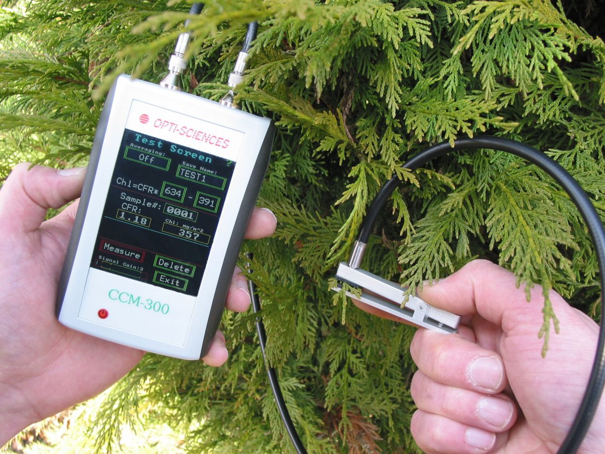 Compteur de teneur en chlorophylle CCM-300