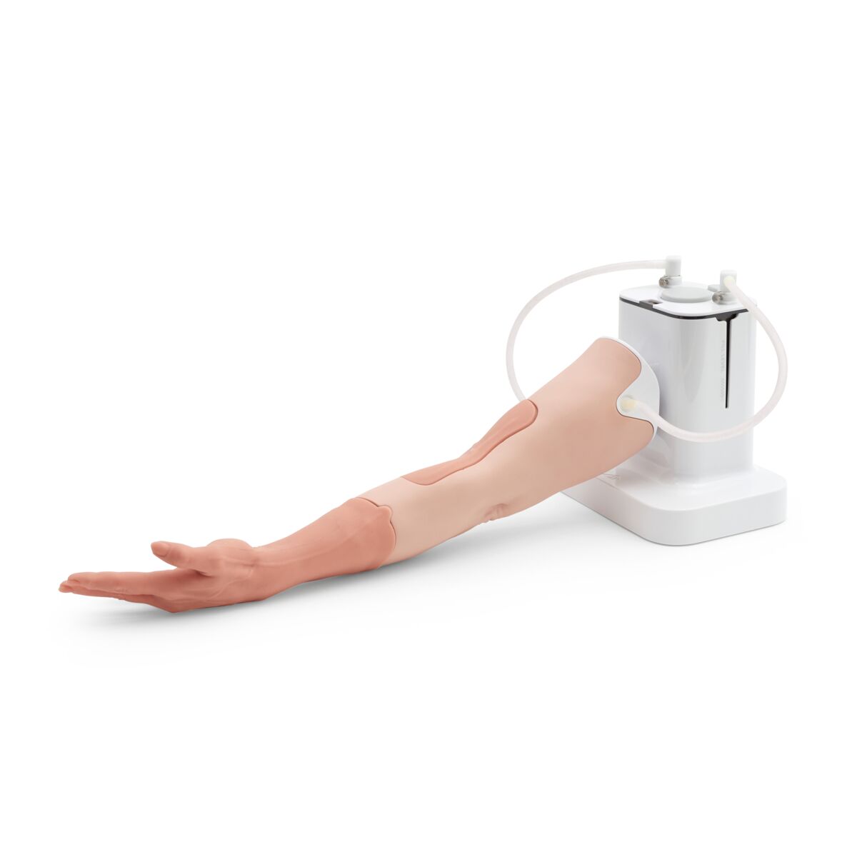 Bras d'Entraînement pour Perfusion IV P51 3B Scientific