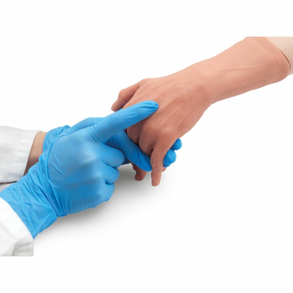 Bras d&rsquo;Entraînement pour Perfusion IV P51 3B Scientific